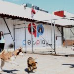 huskys-del valle